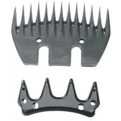 Messenset Constanta Schaap (4/13tds)