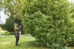 Stihl Accuheggenschaar HLA 135 -Tuingereedschaps Winkel 6a59a1dcdb824ae59cec065040fbf868 1