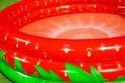 Bestway Kinderbad Rond Sweet Strawberry 160cm -Tuingereedschaps Winkel 7035064174 1