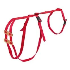 Lijfbieder-bandage (prolapsbandage) Voor Schapen