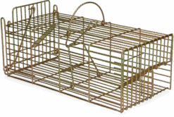 Inloopval Rat, Om Meerdere Ratten Levend Te Vangen